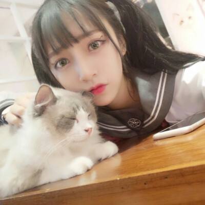 泡泡兔捉迷藏免费下载